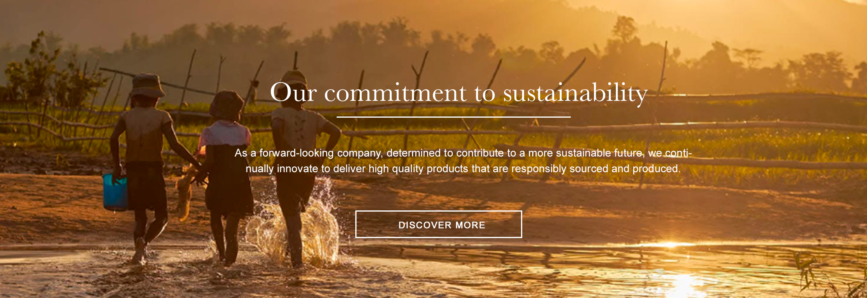 Sustainability Image